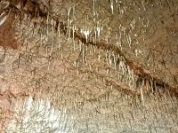 Der Spaghettisaal in der Höhle von Postojna