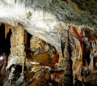 Höhle von Postojna oder Adelsberger Grotte auf Deutsch