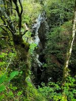 Blick von der Teufelsbrücke in die tiefe Schlucht