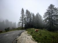 Das Wetter heute - was soll man machen?