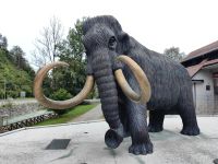 In Kamnik fand man die Knochen eines Mammuts