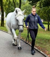 Heute ist Tag des offenen Gestüts und da ist viel los hier