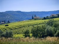 Skocjan (slowenische Toskana) bei Familie Kralj