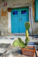 Oppuntie (Kaktusfeige) vor einer Tür in Stanjel