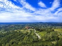 Blick vom Gonjace Aussichtsturm auf Brda und das Örtchen Smartno