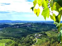 Brda, ein Paradies für Weinliebhaber