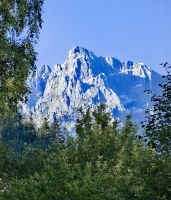 Bergriesen in Kranjska Gora