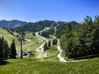 Im Sommer kann man vom Vogelplateau aus herrliche Wanderungen starten