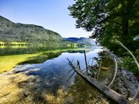 Glasklares Wasser am Bohijnsee