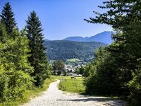 Weg zur Teufelsbrücke, Mostnica Schlucht
