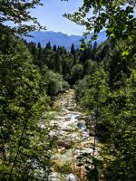 Die Mostnica braust im Tal entlang