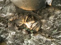 Der Künstler hat sich gleich selbst mit verewigt