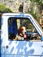 Im Karst sehen die Fahrer ganz entspannt aus :-)