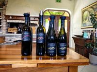 Bei Familie Sosolic probieren wir die Weine der Region