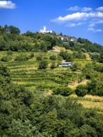 Ausblick vom Weingut Sosolic