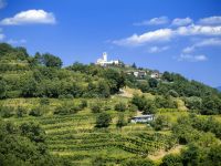 Blick vom Weingut Sosolic