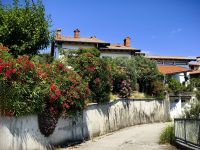 Wir laufen zur Familie Sosolic