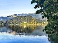 Bleder See mit Marieninsel früh am Morgen