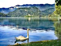 Morgens am Bleder See &ndash; &copy; Simone Willner (Eberhardt TRAVEL)