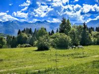 Landschaft bei Bohinj &ndash; &copy; Simone Willner (Eberhardt TRAVEL)