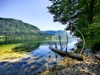 Am glasklaren Bohinjsee &ndash; &copy; Simone Willner (Eberhardt TRAVEL)