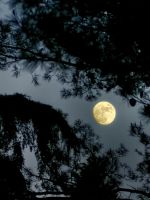 Der Mond ist fast voll, Ankaran &ndash; &copy; Simone Willner (Eberhardt TRAVEL)