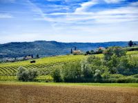 Landschaft im Hinterland der Küste bei Bertoki &ndash; &copy; Simone Willner (Eberhardt TRAVEL)