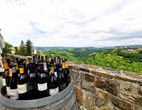 Blick über Brda aus einer Vinothek heraus &ndash; &copy; Simone Willner (Eberhardt TRAVEL)