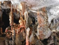 Absolut einzigartig und faszinierend ist der Besuch der Höhle von Postojna &ndash; &copy; Simone Willner (Eberhardt TRAVEL)