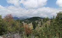 Blick über die Steiner Alpen, Velika Planina