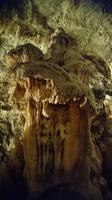 Ein Pilz?, Ein Stein? Nein - Tropfsteinhöhle