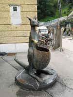Ein Wasserträger?