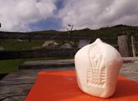 Einer der traditionellen Käse, Velika Planina
