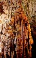 Geheimnisvolle Welt in der Höhle von Postojna