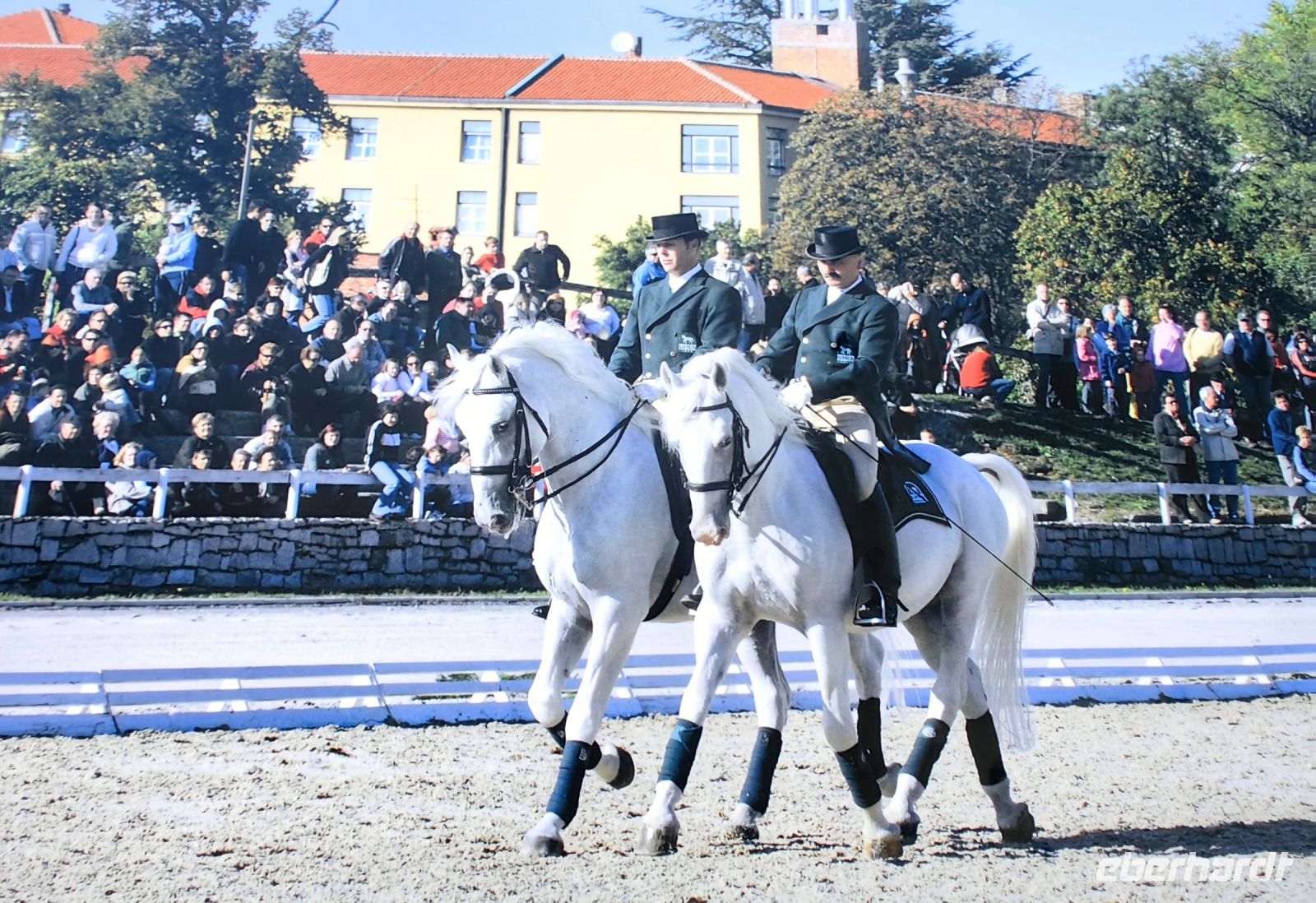In Lipica finden oft Vorführungen und Shows statt