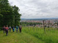 Kalvarienberg .jpg
