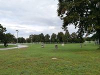 Lipica - die Steinskulpturen auf der Wiese