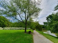 Park in Maribor.jpg