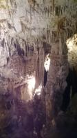 Postojna - Höhle Postojna 