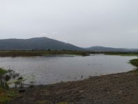 Seestrand 
