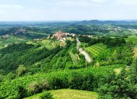 Weinregion Brda