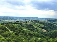 Weinregion Brda