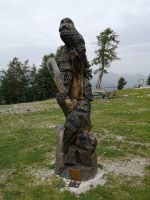 Weisheit im Holz...