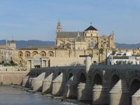 043 Cordoba