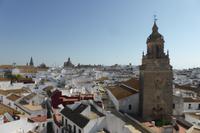 082-Carmona