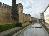 088-Cordoba