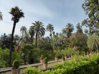 097-Sevilla-Alcazar