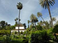 099-Sevilla-Alcazar