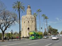 108-Torre_del_Oro