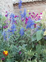 Gärten des Generalife